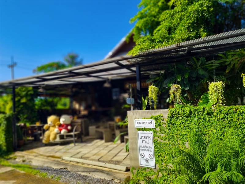 เที่ยวลำพูน, คาเฟ่ลำพูน, ร้านกาแฟลำพูน, top 15+ คาเฟ่ลำพูน ชิคคูลไม่แพ้เชียงใหม่