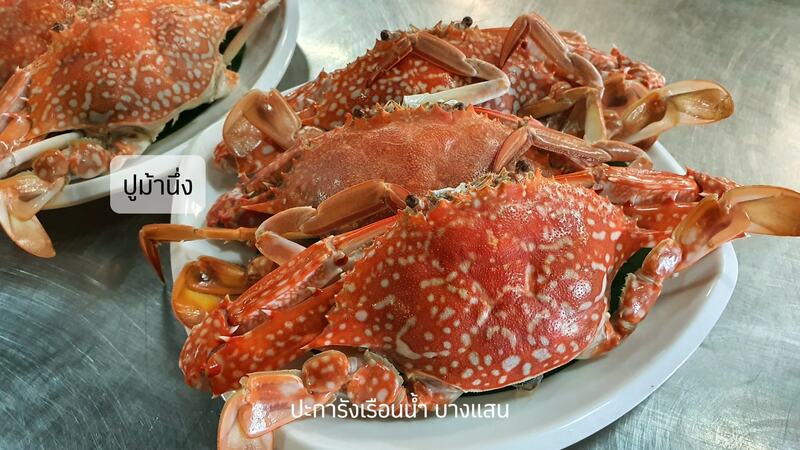 ร้านอาหารบางแสน ชลบุรี อร่อยไม่แพง : 25 ร้านอร่อยราคาประหยัด ใกล้หาดบางแสน