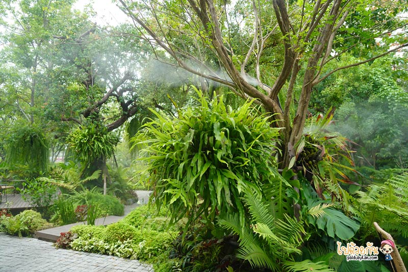 คาเฟ่เกษตรนวมินทร์, ร้านอาหารเรียบด่วนรามอินทรา, ร้านอาหารรามอินทรา, คาเฟ่รามอินทรา, ขมิ้นคาเฟ่, ขมิ้นคาเฟ่ คาเฟ่ในอาคารเก๋ กลางสวนป่า