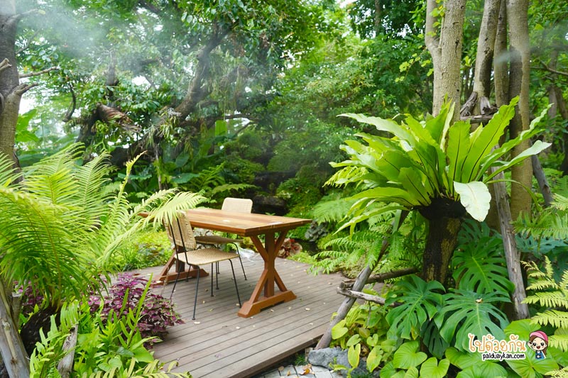 คาเฟ่เกษตรนวมินทร์, ร้านอาหารเรียบด่วนรามอินทรา, ร้านอาหารรามอินทรา, คาเฟ่รามอินทรา, ขมิ้นคาเฟ่, ขมิ้นคาเฟ่ คาเฟ่ในอาคารเก๋ กลางสวนป่า