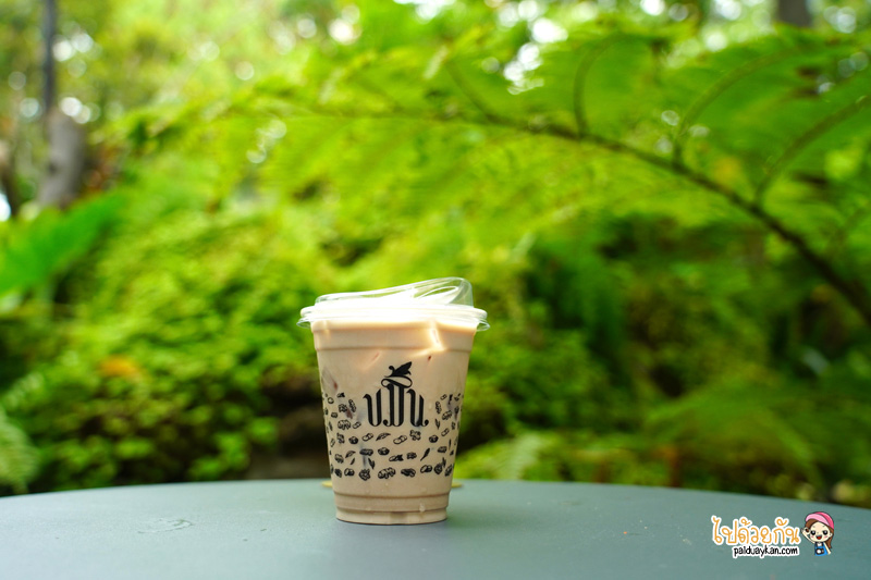 คาเฟ่เกษตรนวมินทร์, ร้านอาหารเรียบด่วนรามอินทรา, ร้านอาหารรามอินทรา, คาเฟ่รามอินทรา, ขมิ้นคาเฟ่, ขมิ้นคาเฟ่ คาเฟ่ในอาคารเก๋ กลางสวนป่า