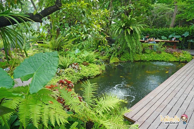 คาเฟ่เกษตรนวมินทร์, ร้านอาหารเรียบด่วนรามอินทรา, ร้านอาหารรามอินทรา, คาเฟ่รามอินทรา, ขมิ้นคาเฟ่, ขมิ้นคาเฟ่ คาเฟ่ในอาคารเก๋ กลางสวนป่า