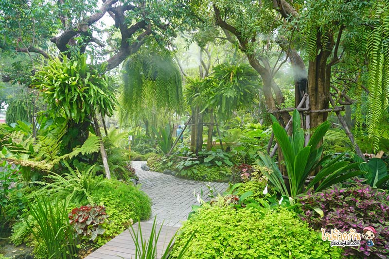 คาเฟ่เกษตรนวมินทร์, ร้านอาหารเรียบด่วนรามอินทรา, ร้านอาหารรามอินทรา, คาเฟ่รามอินทรา, ขมิ้นคาเฟ่, ขมิ้นคาเฟ่ คาเฟ่ในอาคารเก๋ กลางสวนป่า