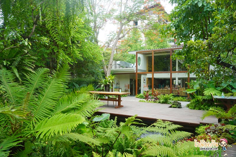 คาเฟ่เกษตรนวมินทร์, ร้านอาหารเรียบด่วนรามอินทรา, ร้านอาหารรามอินทรา, คาเฟ่รามอินทรา, ขมิ้นคาเฟ่, ขมิ้นคาเฟ่ คาเฟ่ในอาคารเก๋ กลางสวนป่า