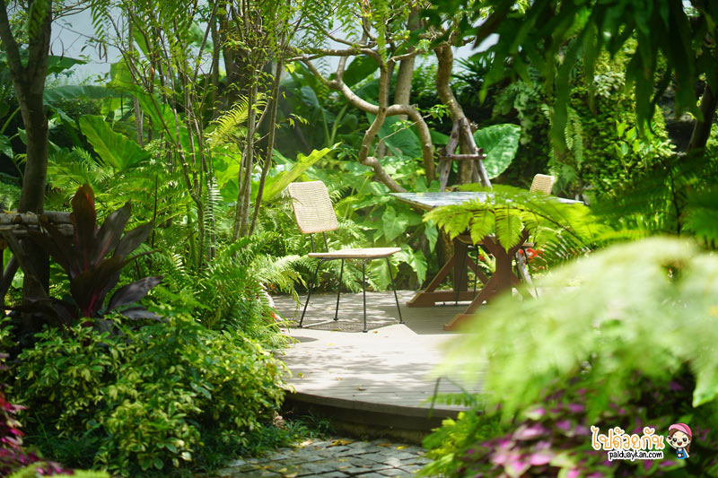 คาเฟ่เกษตรนวมินทร์, ร้านอาหารเรียบด่วนรามอินทรา, ร้านอาหารรามอินทรา, คาเฟ่รามอินทรา, ขมิ้นคาเฟ่, ขมิ้นคาเฟ่ คาเฟ่ในอาคารเก๋ กลางสวนป่า