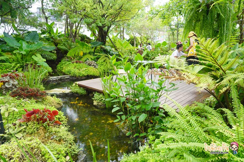 คาเฟ่เกษตรนวมินทร์, ร้านอาหารเรียบด่วนรามอินทรา, ร้านอาหารรามอินทรา, คาเฟ่รามอินทรา, ขมิ้นคาเฟ่, ขมิ้นคาเฟ่ คาเฟ่ในอาคารเก๋ กลางสวนป่า