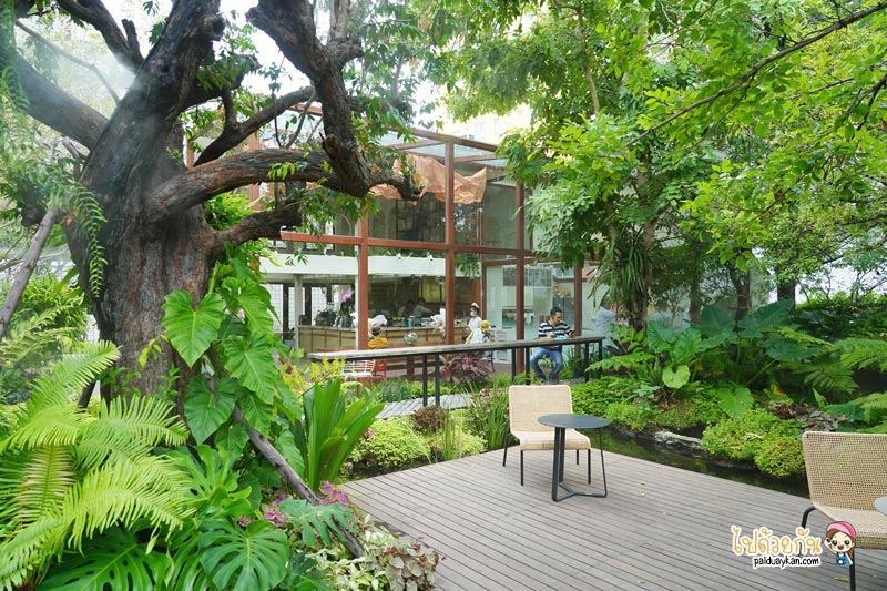 คาเฟ่เกษตรนวมินทร์, ร้านอาหารเรียบด่วนรามอินทรา, ร้านอาหารรามอินทรา, คาเฟ่รามอินทรา, ขมิ้นคาเฟ่, ขมิ้นคาเฟ่ คาเฟ่ในอาคารเก๋ กลางสวนป่า