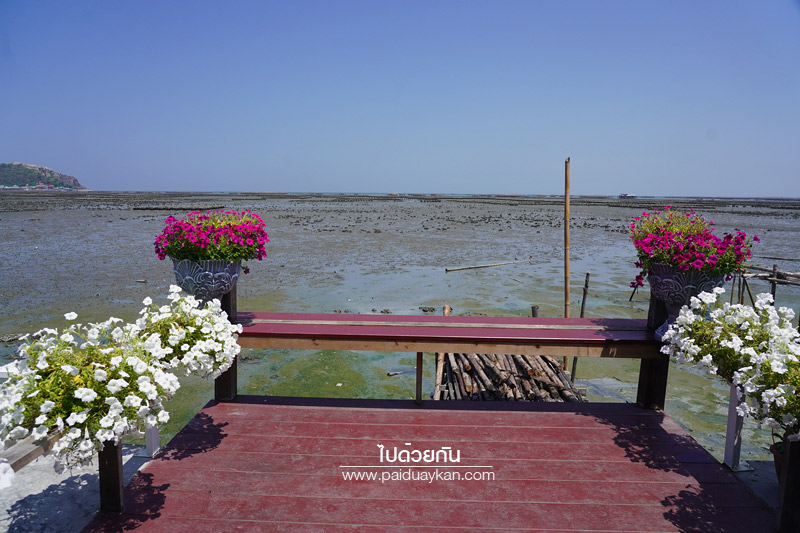 อ่างศิลา, ครัวชมพู่ อ่างศิลา, ร้านอาหารอ่างศิลา, ร้านอาหารอร่อยอ่างศิลา, ร้านอาหารทะเลอ่างศิลา, ครัวชมพู่ อ่างศิลา