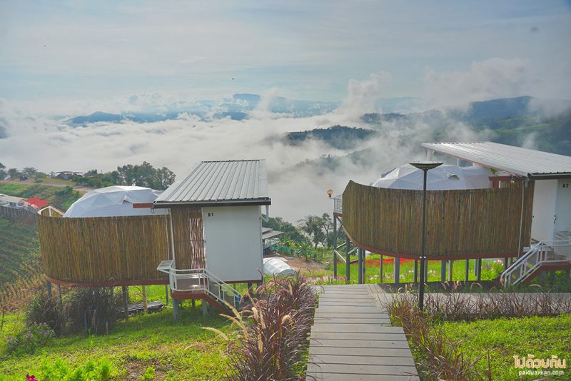 ม่อนหมอกตะวัน, ที่พักม่อนหมอกตะวัน, ภูสายหมอก  ที่พักม่อนหมอกตะวัน วิวดี หมอกปัง 