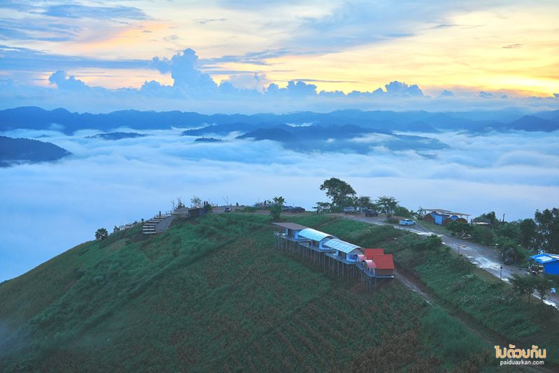 ม่อนหมอกตะวัน, ที่พักม่อนหมอกตะวัน, ภูสายหมอก  ที่พักม่อนหมอกตะวัน วิวดี หมอกปัง 