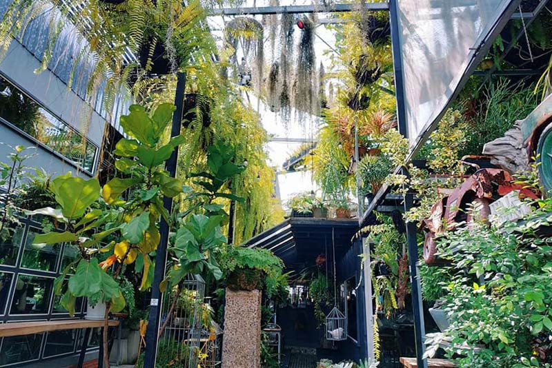 คาเฟ่บางแสน, บางแสน, คาเฟ่บางแสนริมทะเล, คาเฟ่บางแสนญี่ปุ่น, คาเฟ่บางแสนมินิมอล, top 20+ คาเฟ่บางแสน ดีไซน์สวย ถ่ายรูปโดน