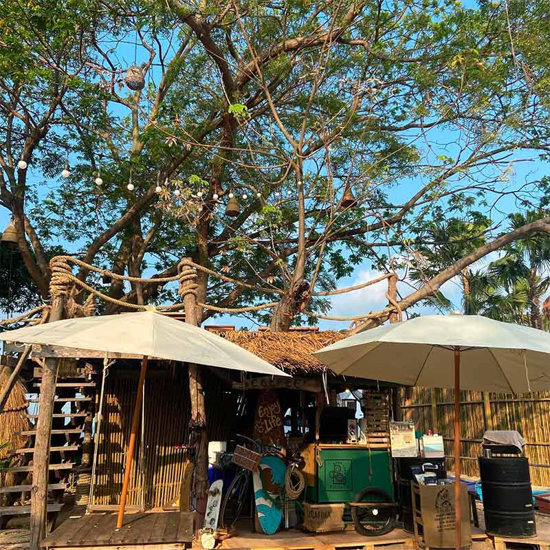 คาเฟ่บางแสน, บางแสน, คาเฟ่บางแสนริมทะเล, คาเฟ่บางแสนญี่ปุ่น, คาเฟ่บางแสนมินิมอล, top 20+ คาเฟ่บางแสน ดีไซน์สวย ถ่ายรูปโดน