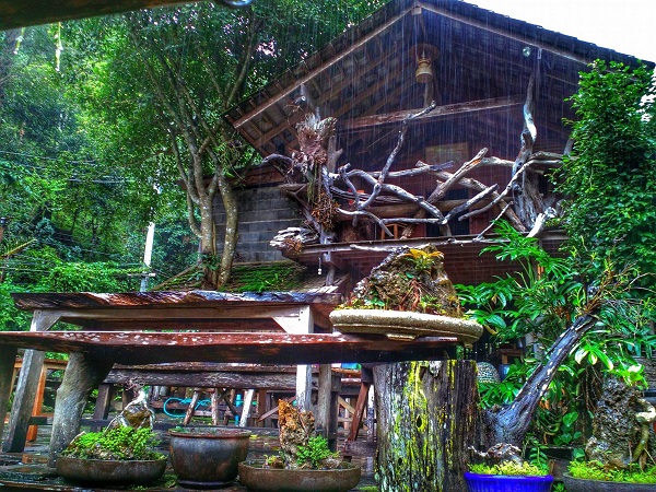 top 10+ โฮมสเตย์บ้านแม่กำปอง 2567 ที่พักแม่กำปองบรรยากาศดี