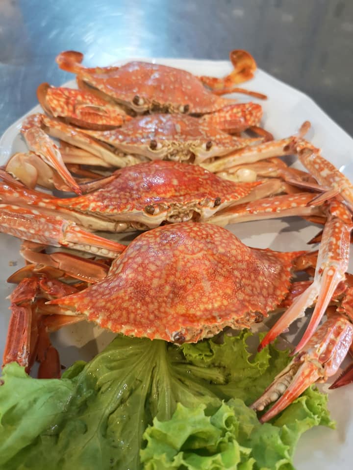 ร้านอาหารวันพ่อ : 10 ร้านอาหารทะเลสดๆ บรรยากาศดีติดริมน้ำในกรุงเทพฯ ไม่ต้องไปไกลถึงต่างจังหวัด! @บางขุนเทียน