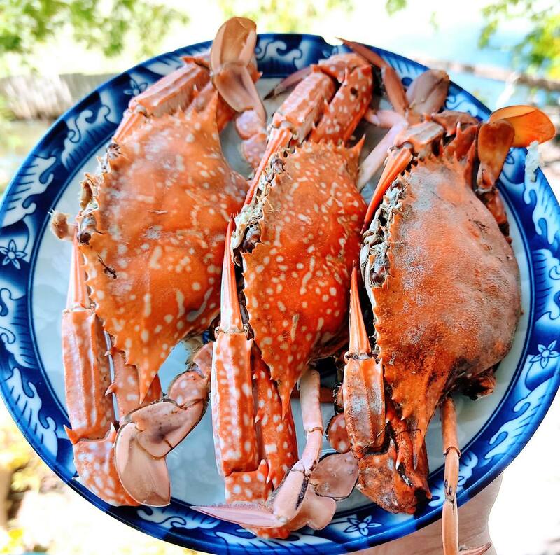 ร้านอาหารวันพ่อ : 10 ร้านอาหารทะเลสดๆ บรรยากาศดีติดริมน้ำในกรุงเทพฯ ไม่ต้องไปไกลถึงต่างจังหวัด! @บางขุนเทียน