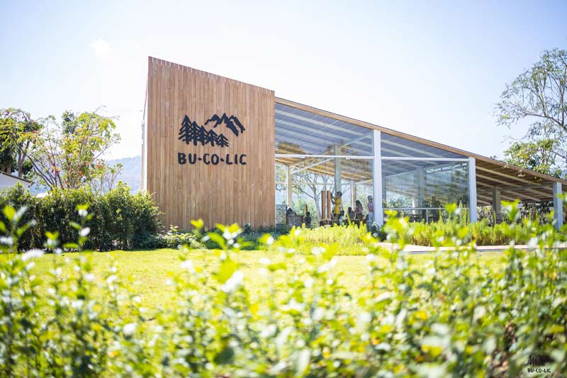 คาเฟ่เขาใหญ่, คาเฟ่เขาใหญ่เปิดใหม่, คาเฟ่ญี่ปุ่นเขาใหญ่, คาเฟ่มินิมอลเขาใหญ่, คาเฟ่สวยเขาใหญ่, update  15 คาเฟ่เขาใหญ่ เปิดใหม่ เช็คอินไว้ ให้ทันกระแส  