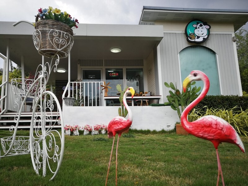 สระบุรี, top 14+ คาเฟ่มวกเหล็ก 2567 ปากช่อง ติดน้ำตก คาเฟ่เปิดใหม่ วิวสวย