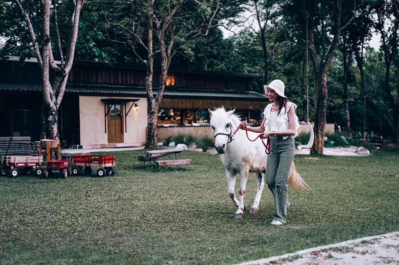 สระบุรี, top 14+ คาเฟ่มวกเหล็ก 2567 ปากช่อง ติดน้ำตก คาเฟ่เปิดใหม่ วิวสวย