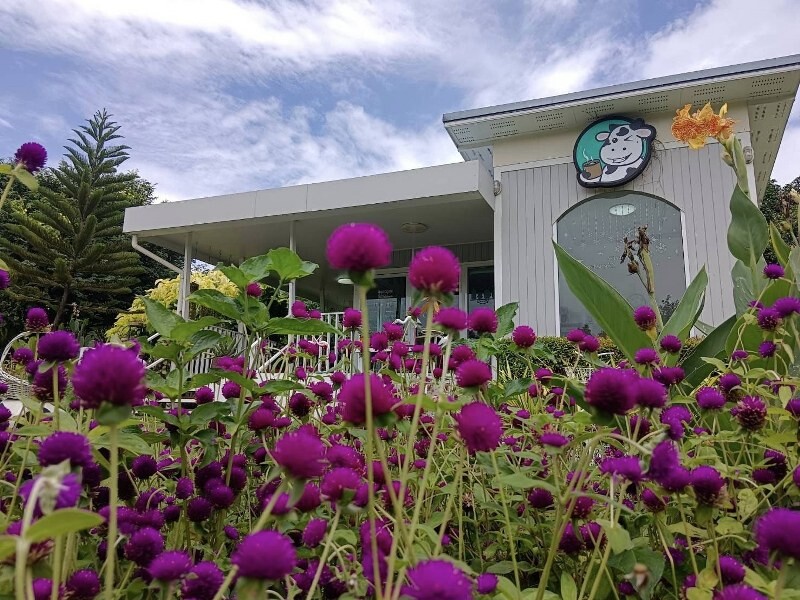 สระบุรี, top 14+ คาเฟ่มวกเหล็ก 2567 ปากช่อง ติดน้ำตก คาเฟ่เปิดใหม่ วิวสวย