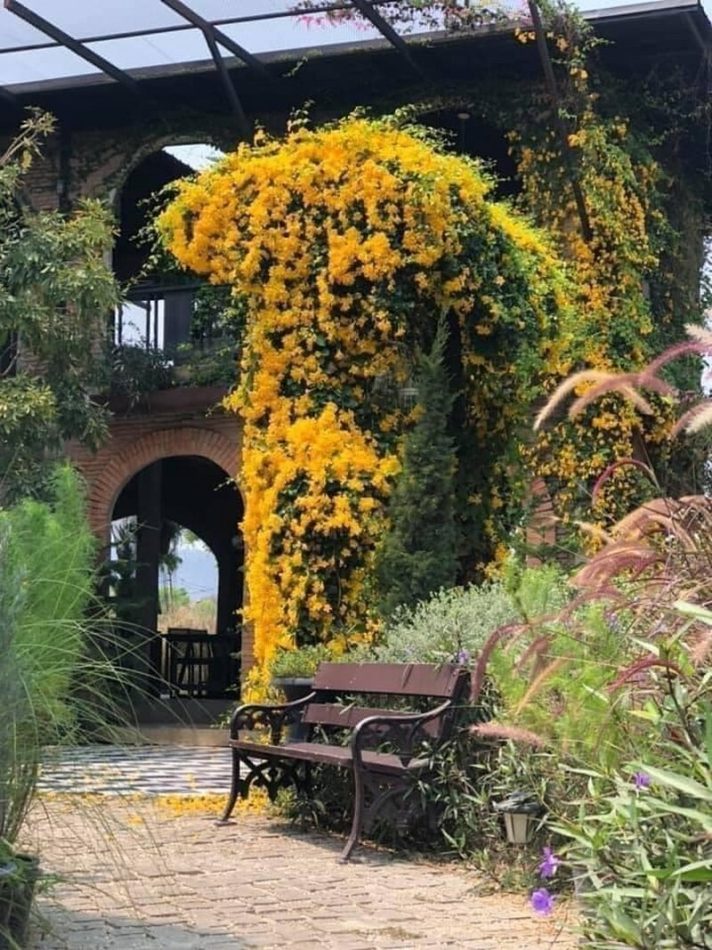 สระบุรี, top 14+ คาเฟ่มวกเหล็ก 2567 ปากช่อง ติดน้ำตก คาเฟ่เปิดใหม่ วิวสวย