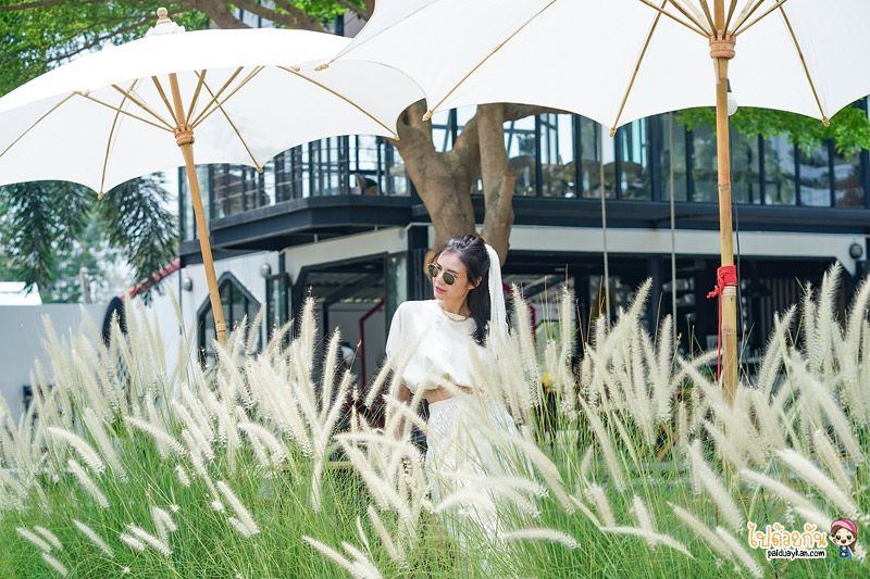 ราชบุรี, คาเฟ่ราชบุรี, ร้านกาแฟโพธาราม, ร้านกาแฟราชบุรี, top 20+ คาเฟ่ราชบุรี หลงรักธรรมชาติ ศิลปะ และเสน่ห์โลคอล