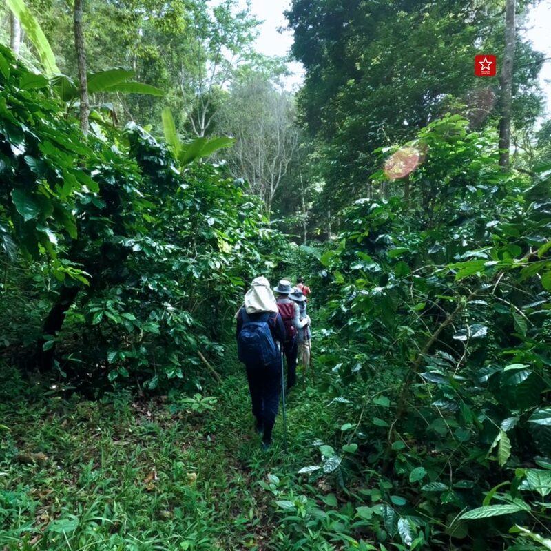 backpacker, one day trip, reviewchiangmai, ดริปกาแฟ, ดอยลังกาน้อย, ที่เที่ยวเชียงใหม่, รีวิวเชียงใหม่, สุดเขตแดนเชียงใหม่, เดินป่าเชียงใหม่, แอ่วได้แอ่วดี, สุดเขตแดนเชียงใหม่ ลังกาน้อย ใจอยู่ที่เขา เขาอยู่ที่ใคร