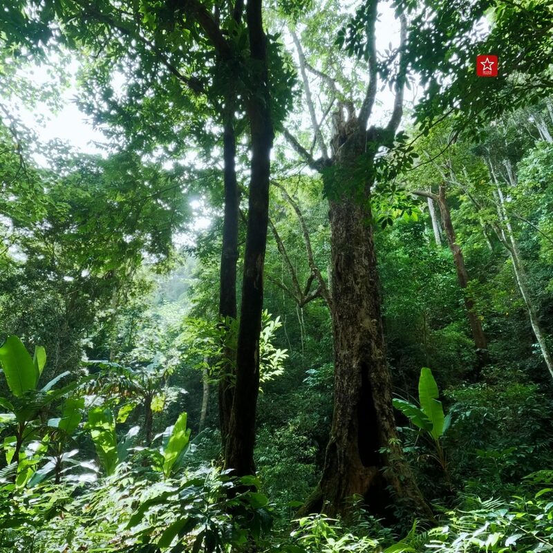 backpacker, one day trip, reviewchiangmai, ดริปกาแฟ, ดอยลังกาน้อย, ที่เที่ยวเชียงใหม่, รีวิวเชียงใหม่, สุดเขตแดนเชียงใหม่, เดินป่าเชียงใหม่, แอ่วได้แอ่วดี, สุดเขตแดนเชียงใหม่ ลังกาน้อย ใจอยู่ที่เขา เขาอยู่ที่ใคร