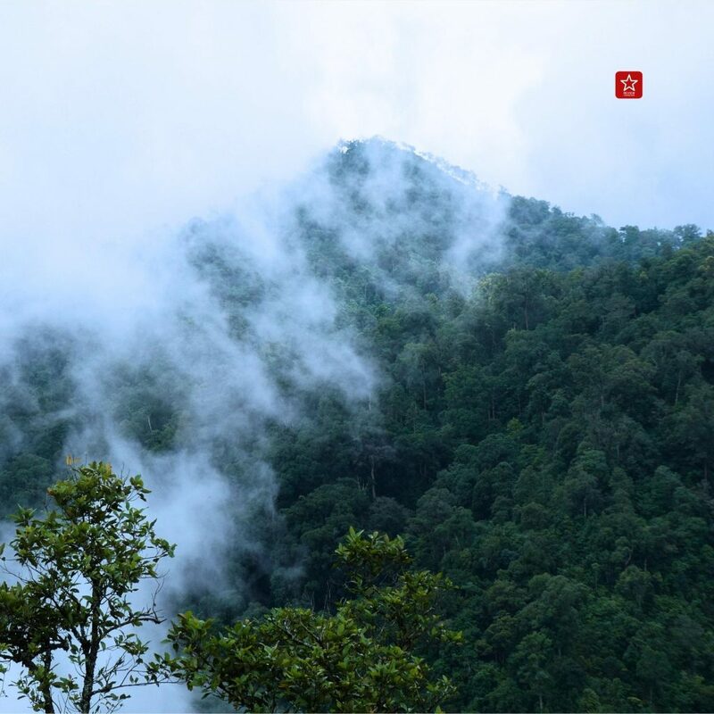 backpacker, one day trip, reviewchiangmai, ดริปกาแฟ, ดอยลังกาน้อย, ที่เที่ยวเชียงใหม่, รีวิวเชียงใหม่, สุดเขตแดนเชียงใหม่, เดินป่าเชียงใหม่, แอ่วได้แอ่วดี, สุดเขตแดนเชียงใหม่ ลังกาน้อย ใจอยู่ที่เขา เขาอยู่ที่ใคร