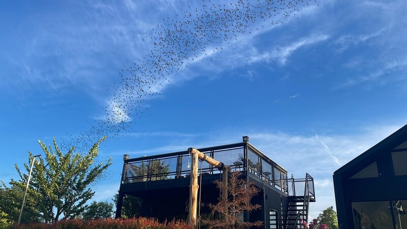 top 12+ ที่พักภูผาม่าน 2567 ขอนแก่น วิวสวย ราคาประหยัด มีสระว่ายน้ำ