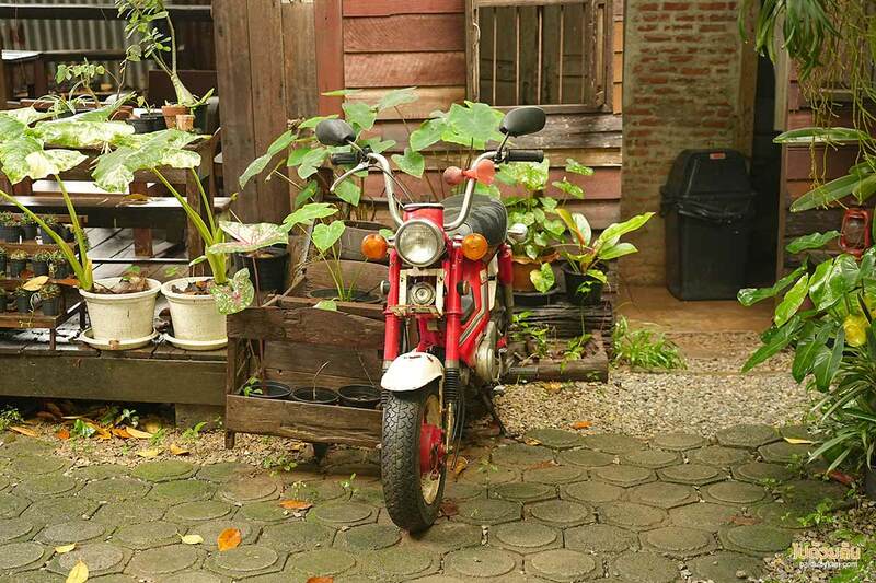 บ้านเบ้ววว slope coffee, บ้านเบ้ววว slope coffee คาเฟ่แพร่สุดชิคในบ้านไม้เก่า สไตล์วินเทจ ถ่ายรูปสวย