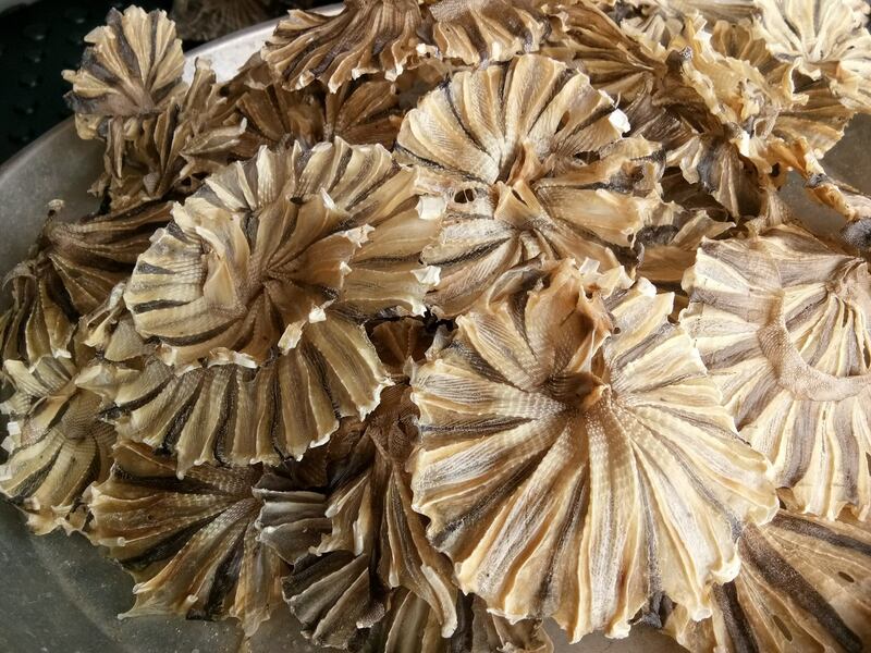 top 10+ ร้านอาหารแปรรูปส่งถึงบ้าน พร้อมปรุงทุกเมนูโปรด!!