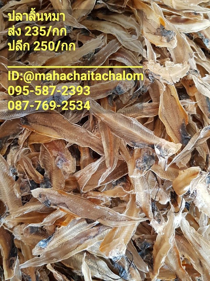 top 10+ ร้านอาหารแปรรูปส่งถึงบ้าน พร้อมปรุงทุกเมนูโปรด!!