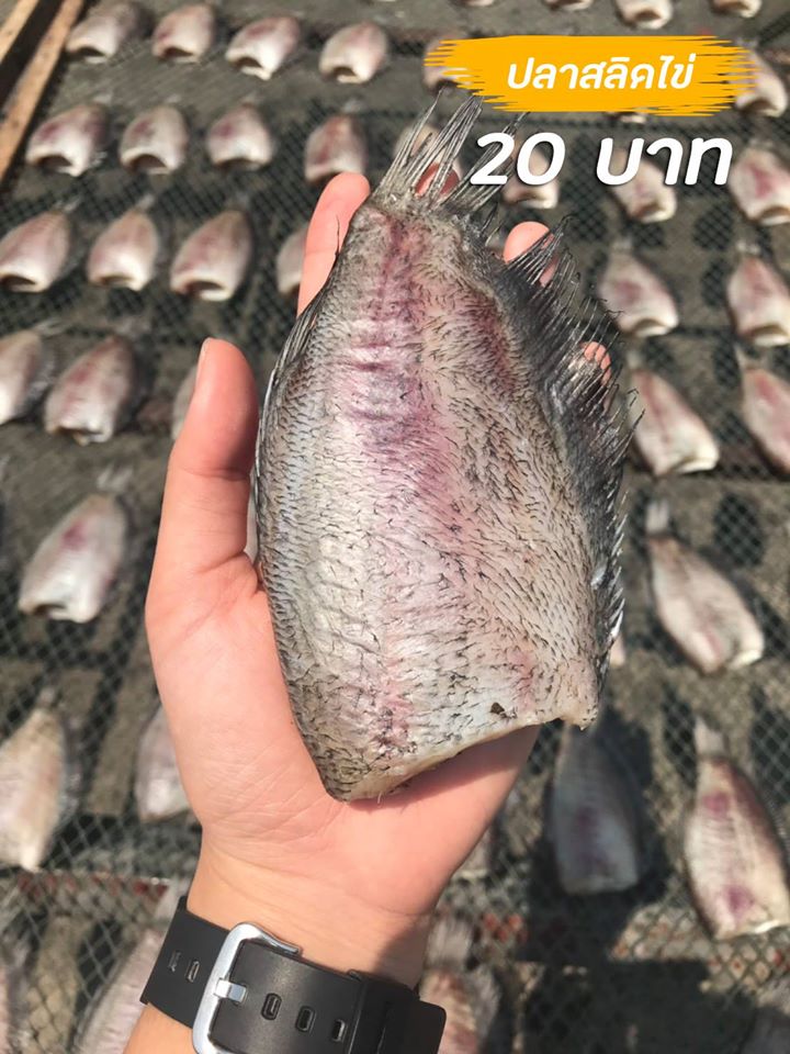 top 10+ ร้านอาหารแปรรูปส่งถึงบ้าน พร้อมปรุงทุกเมนูโปรด!!