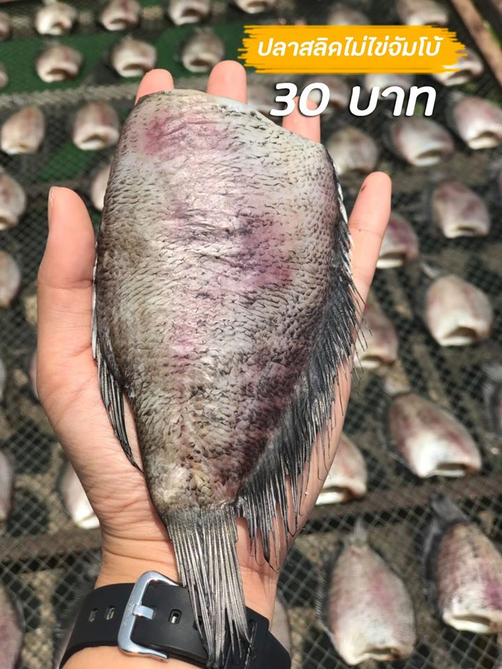 top 10+ ร้านอาหารแปรรูปส่งถึงบ้าน พร้อมปรุงทุกเมนูโปรด!!