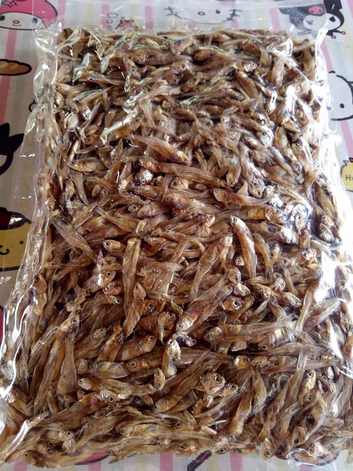 top 10+ ร้านอาหารแปรรูปส่งถึงบ้าน พร้อมปรุงทุกเมนูโปรด!!