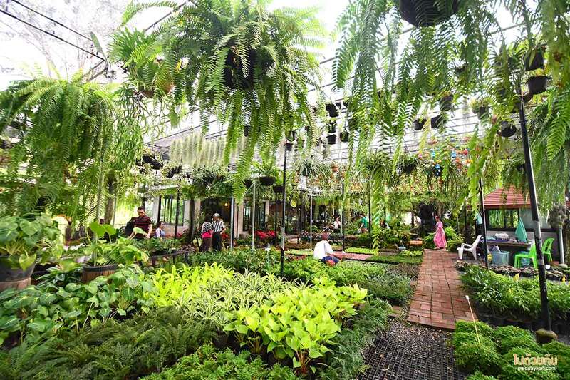 เที่ยวนครนายก, นครนายก, คาเฟ่นครนายก, คาเฟ่นครนายก 20 ร้านเด็ด อัพเดท 2024  วิวริมน้ำ ใกล้เขื่อน บรรยากาศดี  น่าแชะภาพ