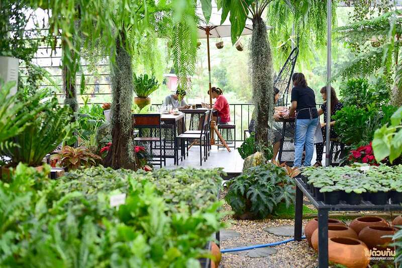 เที่ยวนครนายก, นครนายก, คาเฟ่นครนายก, คาเฟ่นครนายก 20 ร้านเด็ด อัพเดท 2024  วิวริมน้ำ ใกล้เขื่อน บรรยากาศดี  น่าแชะภาพ