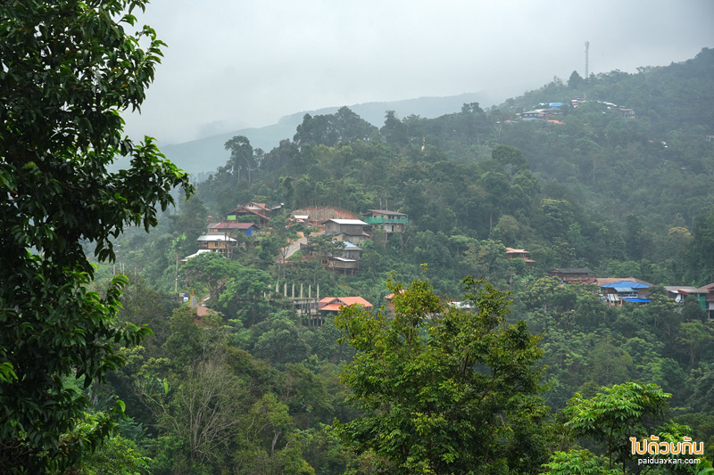 ดอยสกาด, ร้านกาแฟดอยสกาด, คาเฟ่ดอยสกาด, บ้านจักษ์กะพัฒน์, บ้านจักษ์กะพัฒน์ ร้านกาแฟดอยสกาด มองเห็นวิวทั้งหมู่บ้าน