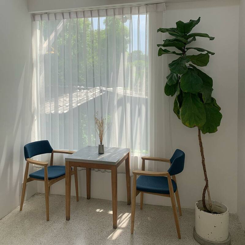 คาเฟ่สไตล์ญี่ปุ่น เชียงใหม่ คัดมาเฉพาะร้านเด็ดๆ บรรยากาศดี น่าถ่ายรูป