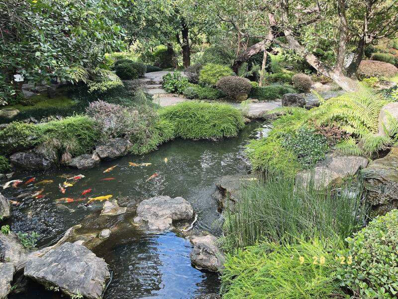 คาเฟ่สไตล์ญี่ปุ่น เชียงใหม่ คัดมาเฉพาะร้านเด็ดๆ บรรยากาศดี น่าถ่ายรูป