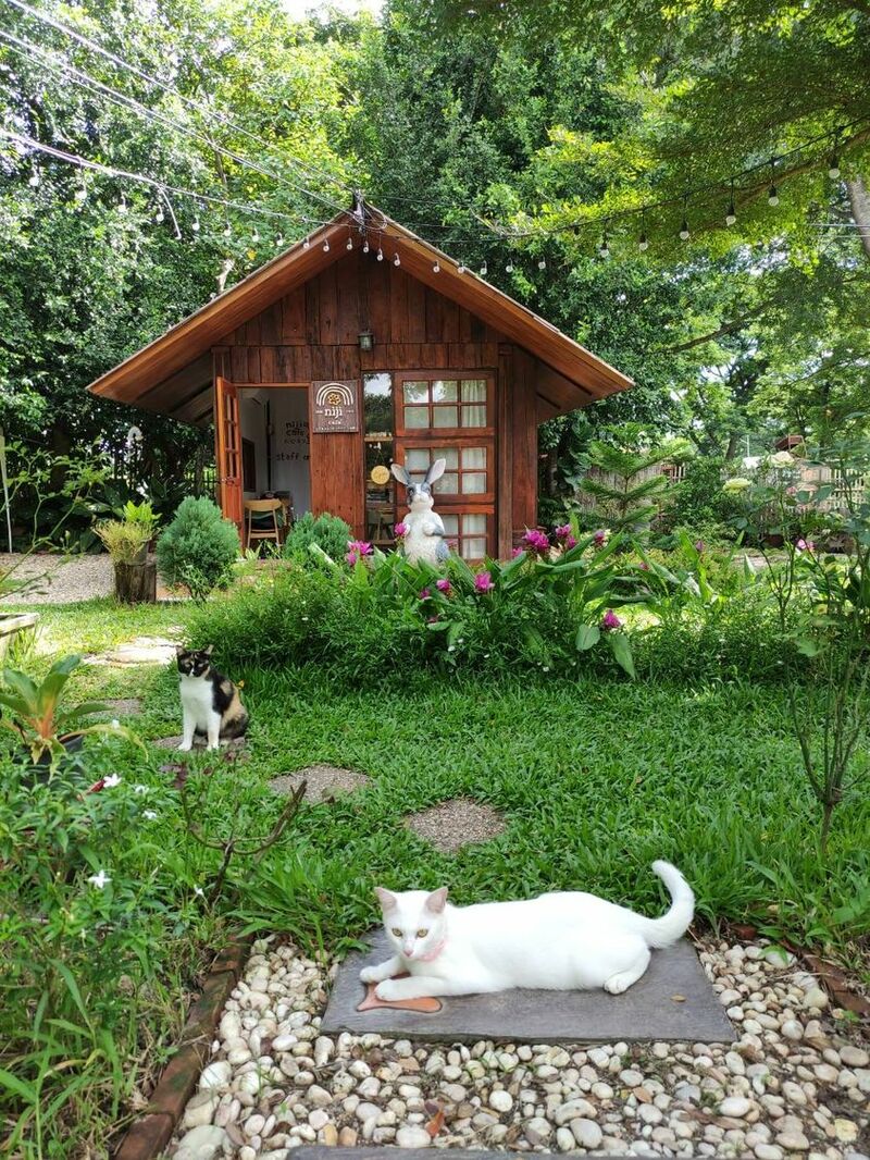 คาเฟ่สไตล์ญี่ปุ่น เชียงใหม่ คัดมาเฉพาะร้านเด็ดๆ บรรยากาศดี น่าถ่ายรูป