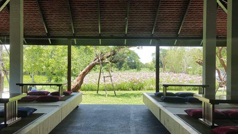 คาเฟ่สไตล์ญี่ปุ่น เชียงใหม่ คัดมาเฉพาะร้านเด็ดๆ บรรยากาศดี น่าถ่ายรูป