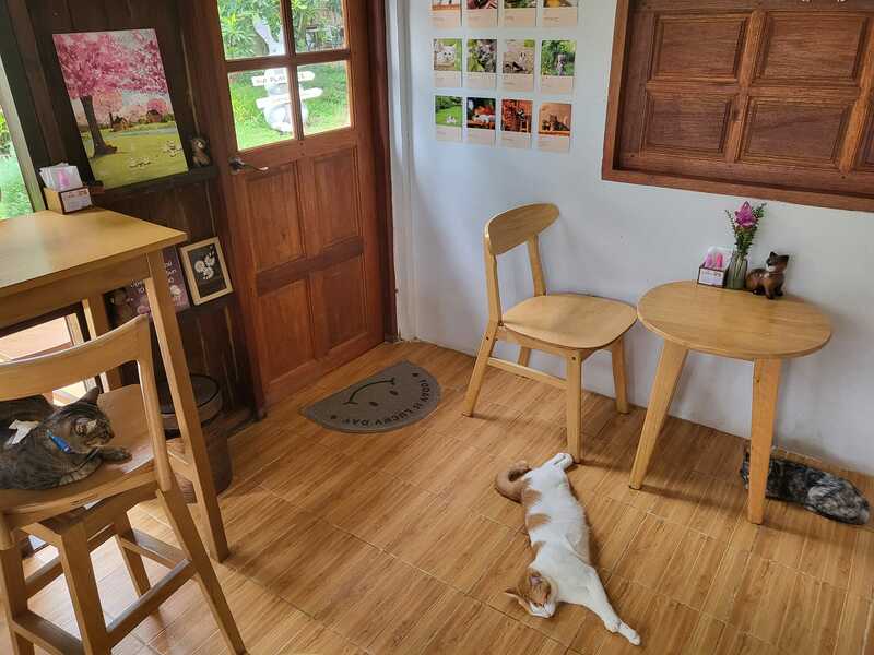 คาเฟ่สไตล์ญี่ปุ่น เชียงใหม่ คัดมาเฉพาะร้านเด็ดๆ บรรยากาศดี น่าถ่ายรูป