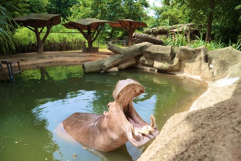 เขาใหญ่, top 17+ ที่เที่ยวโคราช 2567 ที่เที่ยวในเมือง เขาใหญ่ สถานที่ถ่ายรูปสวย บรรยากาศดี