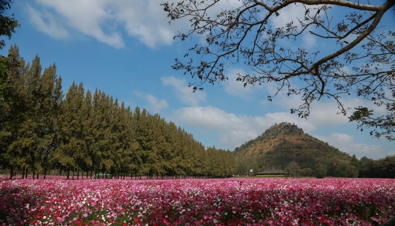 เขาใหญ่, top 17+ ที่เที่ยวโคราช 2567 ที่เที่ยวในเมือง เขาใหญ่ สถานที่ถ่ายรูปสวย บรรยากาศดี