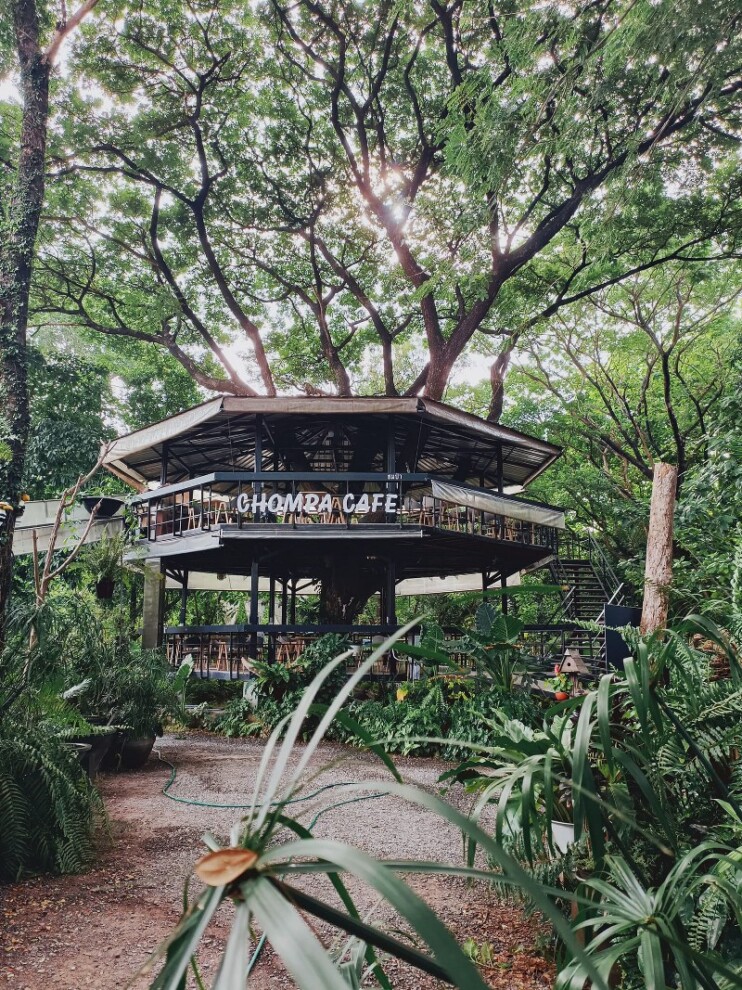 เขาใหญ่, top 17+ ที่เที่ยวโคราช 2567 ที่เที่ยวในเมือง เขาใหญ่ สถานที่ถ่ายรูปสวย บรรยากาศดี