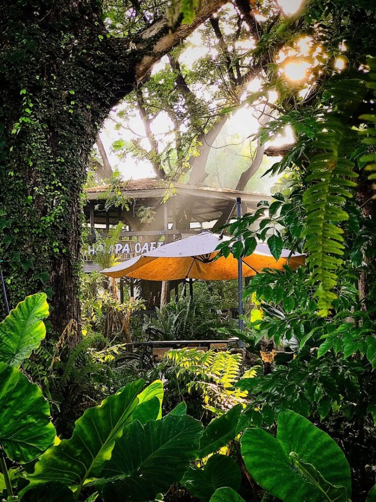 เขาใหญ่, top 17+ ที่เที่ยวโคราช 2567 ที่เที่ยวในเมือง เขาใหญ่ สถานที่ถ่ายรูปสวย บรรยากาศดี