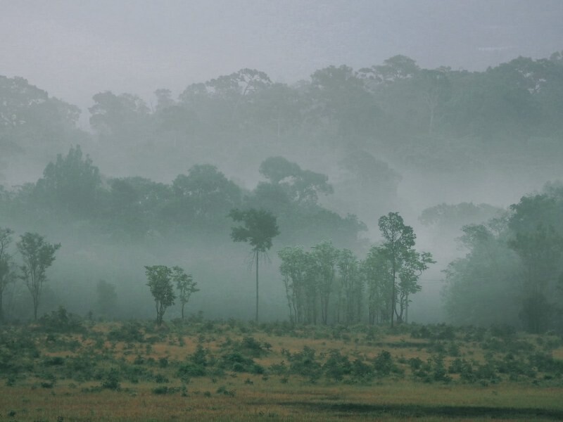 เขาใหญ่, top 17+ ที่เที่ยวโคราช 2567 ที่เที่ยวในเมือง เขาใหญ่ สถานที่ถ่ายรูปสวย บรรยากาศดี
