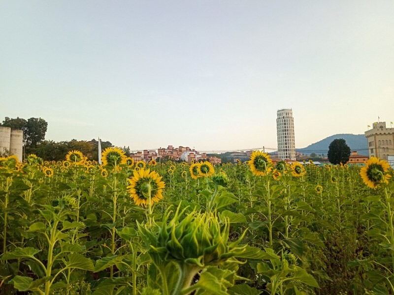 เขาใหญ่, top 17+ ที่เที่ยวโคราช 2567 ที่เที่ยวในเมือง เขาใหญ่ สถานที่ถ่ายรูปสวย บรรยากาศดี