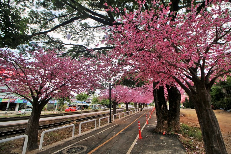 เขาใหญ่, top 17+ ที่เที่ยวโคราช 2567 ที่เที่ยวในเมือง เขาใหญ่ สถานที่ถ่ายรูปสวย บรรยากาศดี